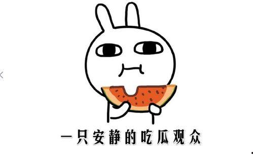 吃瓜的情景,揭秘吃瓜群众的欢乐时光