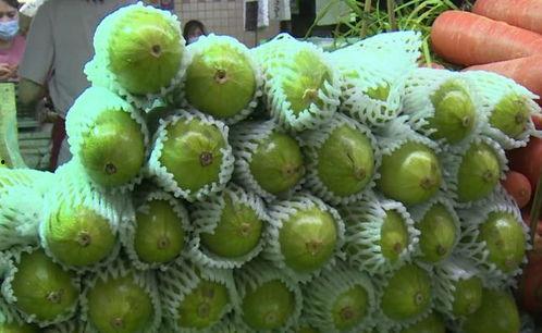 蛇斑疮可以吃葫芦瓜吗,食疗养生新选择