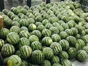 校园吃瓜尴尬系列,那些让人脸红的瞬间回顾