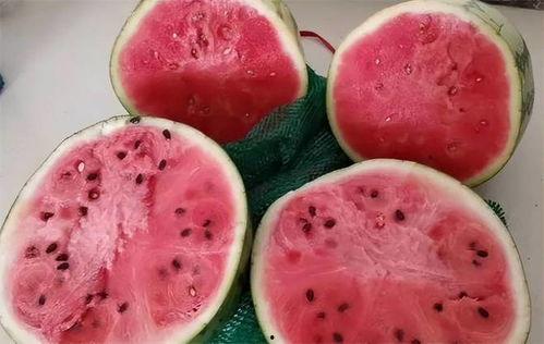 吃麒麟瓜不能怀孕,揭秘为何吃麒麟瓜可能导致不孕之谜