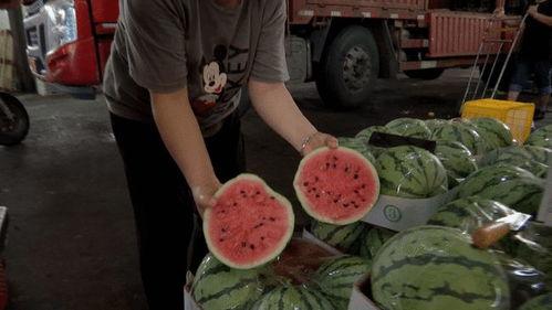 宝山中学吃瓜,揭秘校园里的热点话题