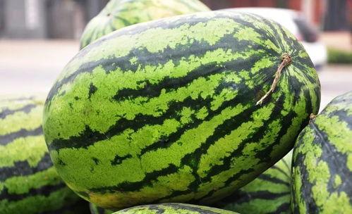 江西工业吃瓜,吃瓜群众眼中的崛起与变革