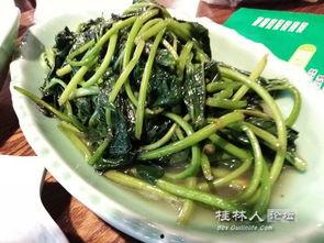 穿在民国吃瓜,穿越时光的吃瓜日常