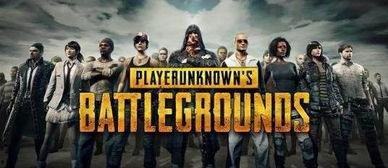 瓜大亨吃鸡,一场舌尖上的冒险之旅