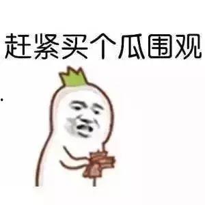 大佬秋吃瓜不给钱