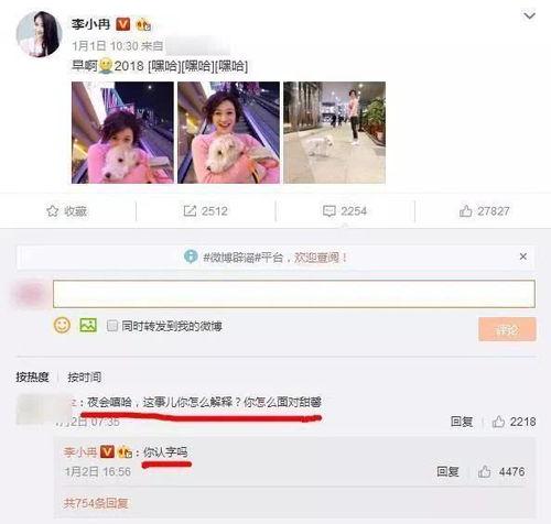 吃瓜付费的视频,揭秘热门内容背后的经济秘密