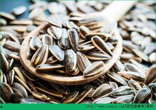 吃瓜也吃瓜子,探寻吃瓜与吃瓜子的独特魅力