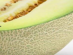 白瓤瓜怎么吃,解锁清新口感新境界