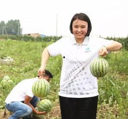 组团吃瓜的博主,揭秘网红博主背后的故事