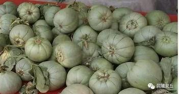 安丘冠瓷吃瓜,揭秘千年古瓷的吃瓜传奇