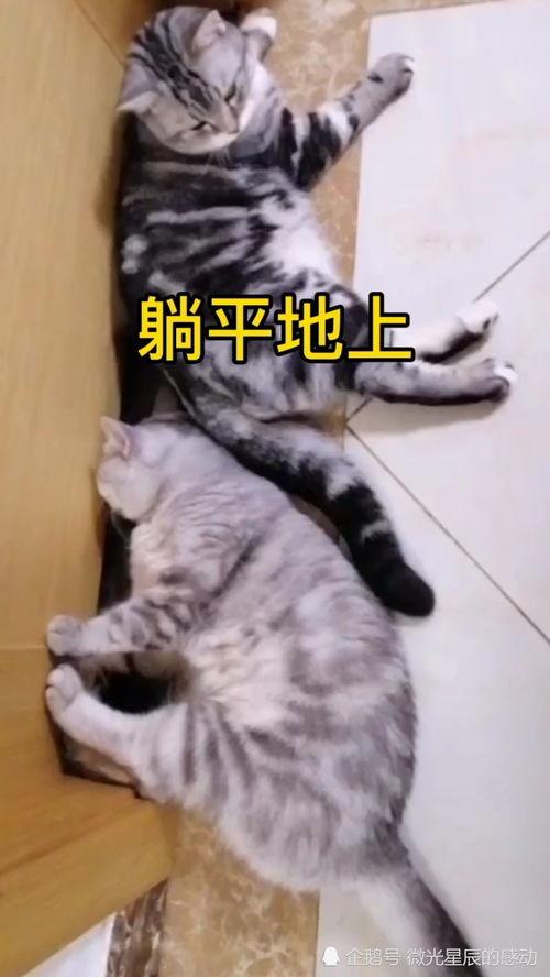 我躺平吃瓜,揭秘当代年轻人的生活态度与选择