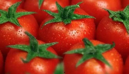 番茄畅听吃瓜豪门,揭秘吃瓜豪门背后的故事