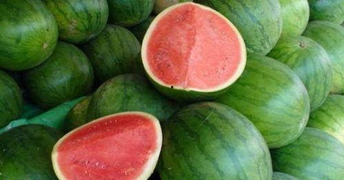 问答吃瓜,问答吃瓜背后的真相与八卦