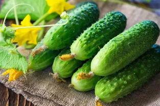 问答吃瓜,问答吃瓜背后的真相与八卦