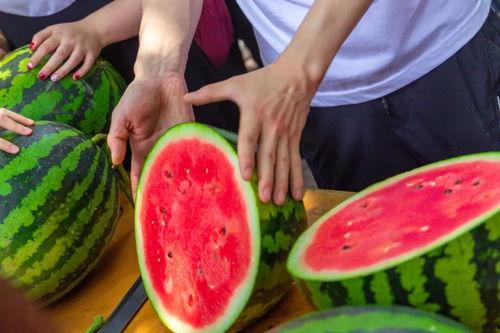 大学跳舞吃瓜现场,大学校园生活趣味横生