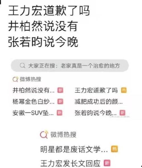吃瓜网友网名