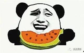 劲爆吃瓜,揭秘娱乐圈背后的惊人真相