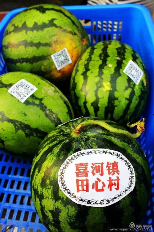 劲爆吃瓜,揭秘娱乐圈背后的惊人真相