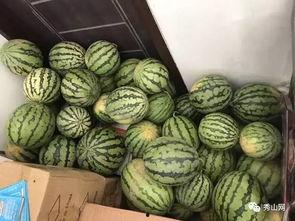 西南官话吃瓜视频,带你领略方言魅力