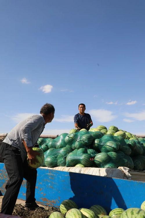吃瓜向风而行,紧跟热点，洞察时代风向