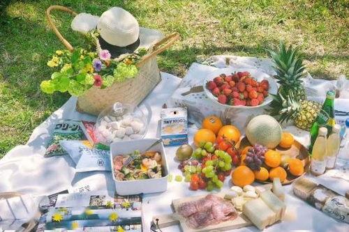 野餐吃瓜,瓜果飘香，共享欢乐时光