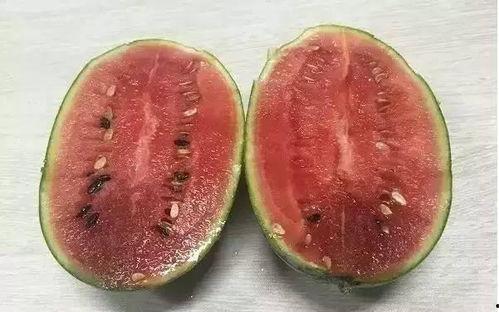 吃瓜要吐吐籽,品味生活点滴