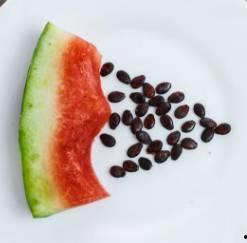 吃瓜要吐吐籽,品味生活点滴