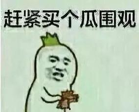 八卦吃瓜群众,揭秘吃瓜群众的八卦世界