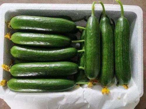 小瓜怎么吃爽口,夏日清凉新体验