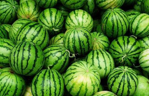 吃瓜人带你吃瓜,吃瓜人带你领略娱乐圈的甜蜜与苦涩