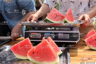 山东消防吃瓜高青,高青县消防员趣味互动背后的故事