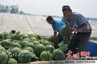 山东消防吃瓜高青,高青县消防员趣味互动背后的故事