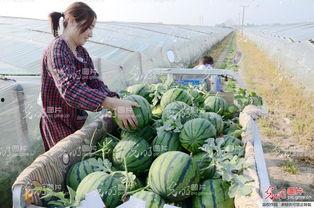 山东消防吃瓜高青,高青县消防员趣味互动背后的故事