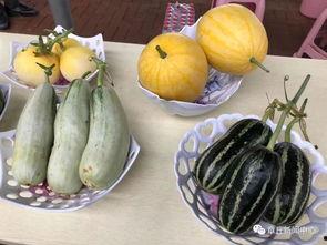 今天吃瓜邯郸,今日吃瓜大揭秘