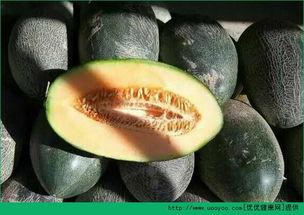 五岁的小孩吃哈密瓜好吗,五岁宝宝吃哈密瓜的营养益处与注意事项