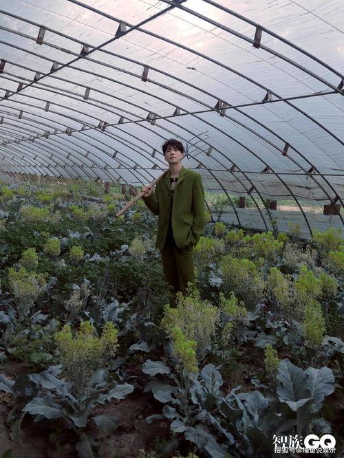 吃瓜封面模板,吃瓜群众聚焦最新热点事件，独家揭秘幕后真相！