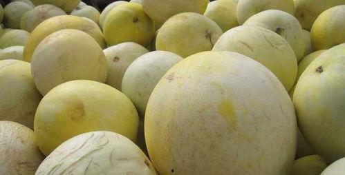 怎样吃白兰瓜好吃,解锁清新口感新境界