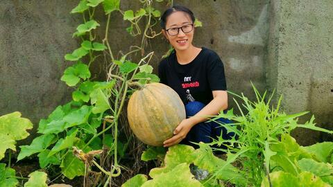 吃瓜生活记,揭秘娱乐圈背后的酸甜苦辣