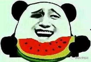 吃瓜群微信,微信社交新潮流