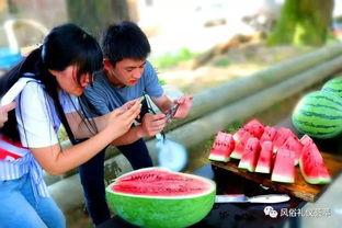 梦见从地里摘瓜吃