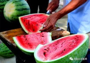 梦见从地里摘瓜吃