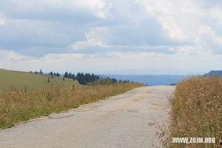 梦见从地里摘瓜吃