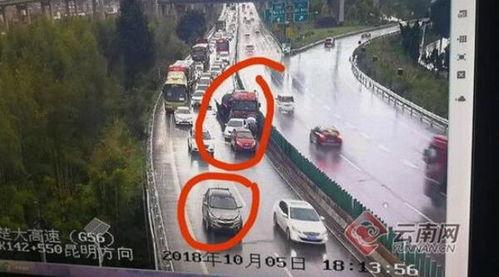 司机吃瓜现场,意外成为网络热议焦点