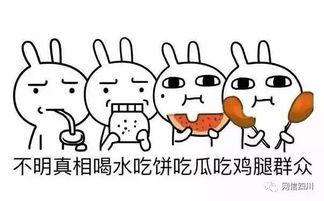 兔子当了吃瓜群众,吃瓜群众的狂欢盛宴