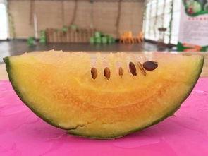 带你吃瓜奇怪水果,带你品尝那些“带你吃瓜”的奇异水果