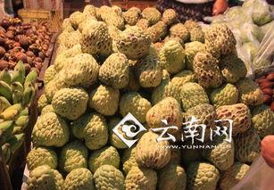 带你吃瓜奇怪水果,带你品尝那些“带你吃瓜”的奇异水果