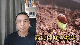 吵架吃瓜争男人,一场关于男人生的舆论风暴