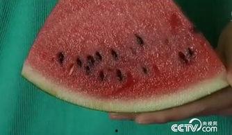 夏季吃瓜小妙招,夏季吃瓜小妙招大揭秘