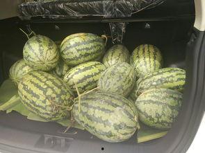 学校凳子吃瓜,凳子“吃瓜”事件引发热议