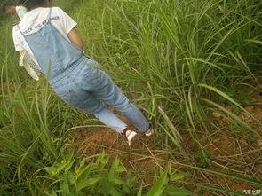 学校凳子吃瓜,凳子“吃瓜”事件引发热议